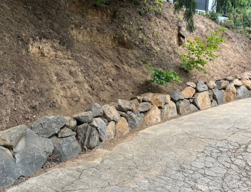 When Boulders Speak Louder Than Words